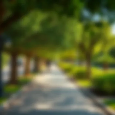 A vibrant community park in Al Nahda, illustrating the area’s commitment to green spaces.