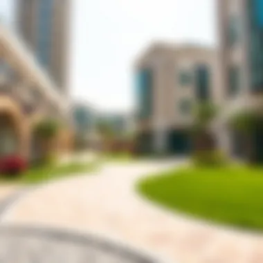 Comprehensive Guide to Residency in the UAE Summary Comprehensive Guide to Residency in the UAE Summary