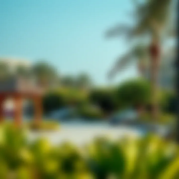 Community Park: Green Spaces in Al Badaa Community park in Al Badaa featuring green spaces and recreational areas