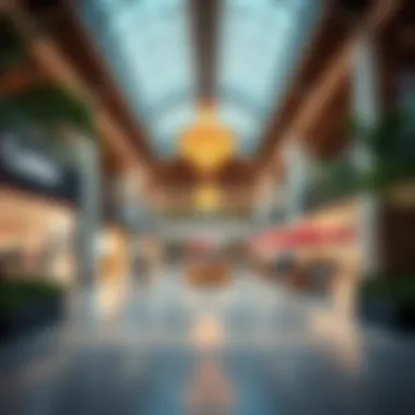 Exploring Carrefour Discovery Gardens: Insights into a Unique Shopping Experience Summary