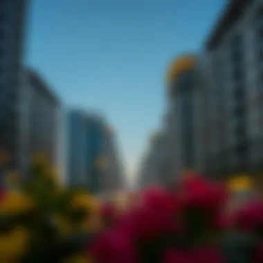 Dubai Real Estate Market Trends Overview of Dubai's real estate market trends