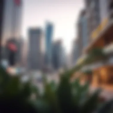 Market Trends and Investment Insights Market trends and investment opportunities in Dubai Marina Plaza