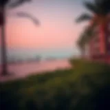 View of Dubai's Ladies Beach showcasing the serene shoreline