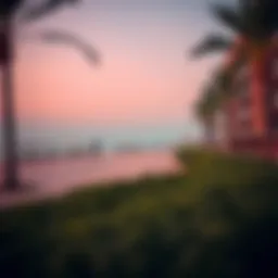 View of Dubai's Ladies Beach showcasing the serene shoreline