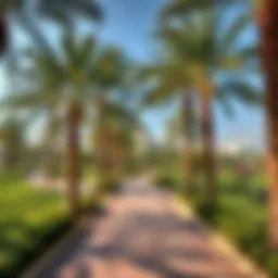 A panoramic view of a lush park in Dubai showcasing palm trees and serene walking paths