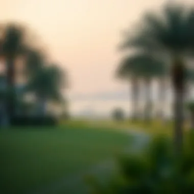 Landscaped Surroundings of Gardenia Yas Island Serene landscaped surroundings of Gardenia Yas Island