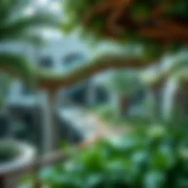 Ecological Features of the Gardens Ecological features that enhance the garden's sustainability