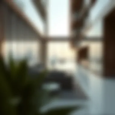 Exploring Hauser: A Unique Perspective on Dubai's Real Estate Phenomenon Summary