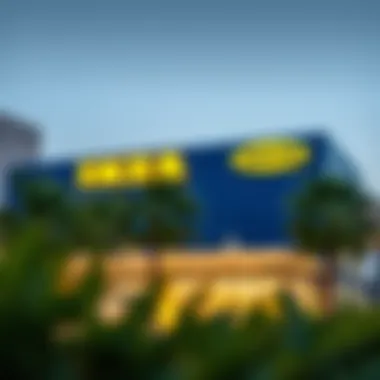 Trends in Consumer Behavior Influenced by IKEA Visual representation of consumer behavior trends in Dubai