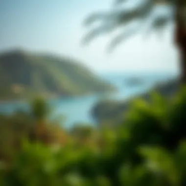 Beautiful natural landscape of Mariyam Island with lush greenery and serene waters