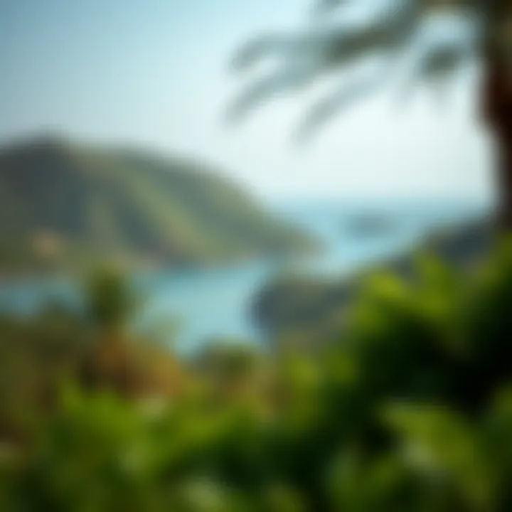 Beautiful natural landscape of Mariyam Island with lush greenery and serene waters