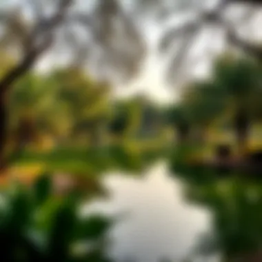 Scenic Lake View Surrounded by Nature Scenic view of the lake surrounded by trees in Mirdif Park