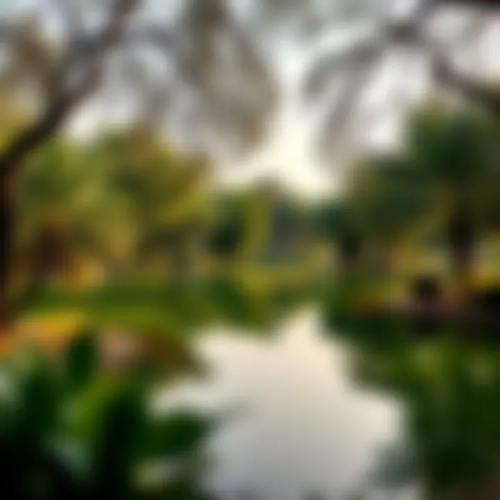 Scenic Lake View Surrounded by Nature Scenic view of the lake surrounded by trees in Mirdif Park