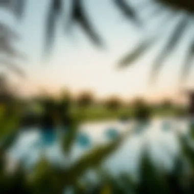 Private Pool Surrounded by Lush Landscape Private pool surrounded by lush landscape