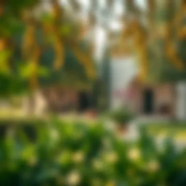 Tranquil Ranch Setting Tranquil ranch setting with greenery