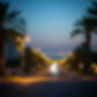 Evening Serenity on شارع أم سقيم An evening view of شارع أم سقيم illuminated by street lights and surrounded by palm trees