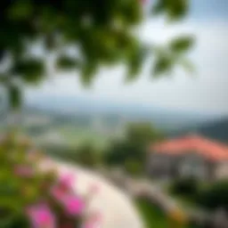 A panoramic view of شارع أم سقيم showcasing its lush greenery and elegant residences