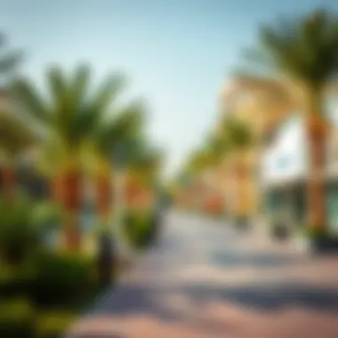 Local Amenities in Al Muteena Local amenities like parks and shopping areas in Al Muteena