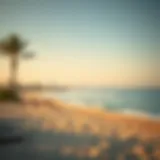 A Glimpse of Coastal Serenity Stunning coastline of Al Zeina Al Raha Beach