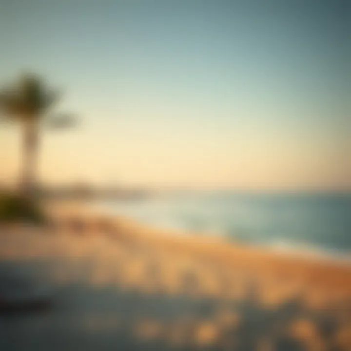 A Glimpse of Coastal Serenity Stunning coastline of Al Zeina Al Raha Beach