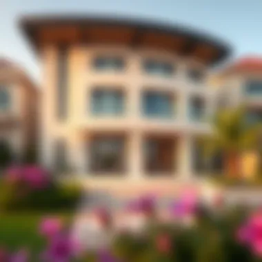 Diverse Property Types in Dubai Diverse types of properties available in Dubai including villas and apartments