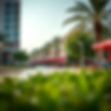 Community Life in Al Barsha Vibrant community life in Al Barsha with parks and people enjoying outdoor activities