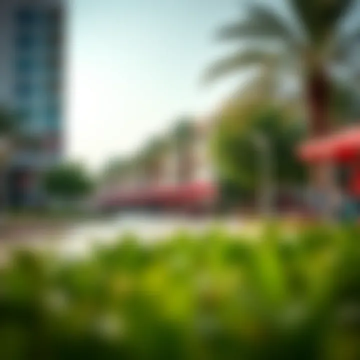 Community Life in Al Barsha Vibrant community life in Al Barsha with parks and people enjoying outdoor activities