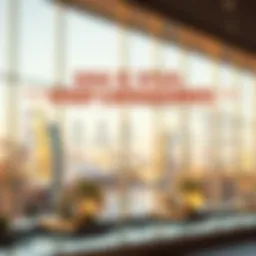 A detailed infographic showcasing various visa categories in the UAE.