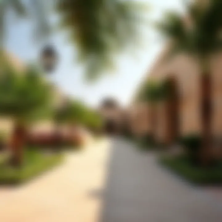 Greenery and Modern Amenities in Lulu Murabba Al Ain Lush greenery and modern amenities in Lulu Murabba Al Ain