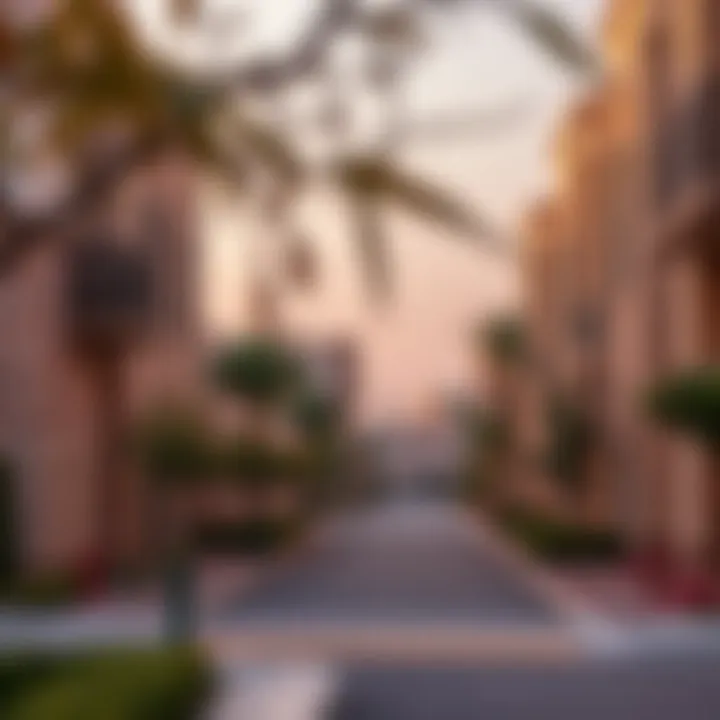 Neighborhood Benefits Surrounding Marcasa Deyaar Scenic surroundings of Marcasa Deyaar in the neighborhood