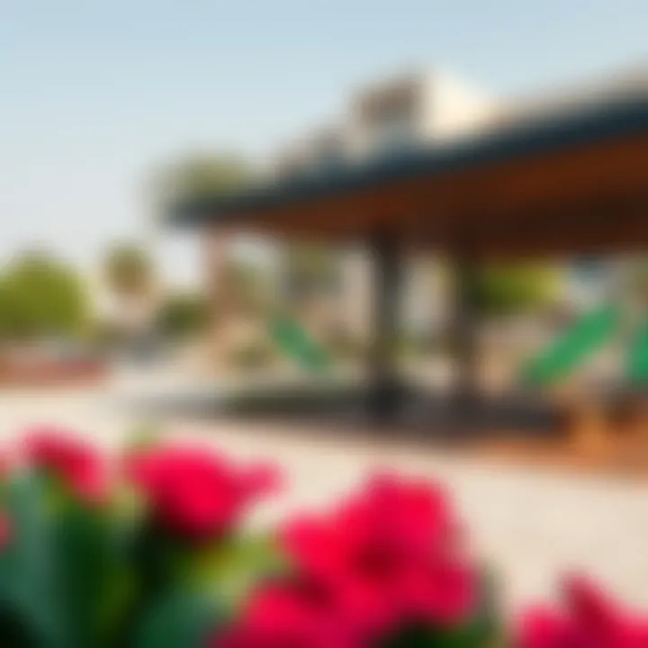 Community Amenities and Green Spaces at Mirdif Hills Green spaces and community facilities in Mirdif Hills