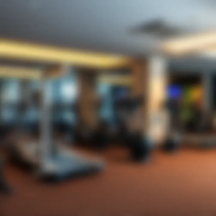 Comprehensive Fitness Center Well-equipped fitness center at Phoenix Plaza Hotel Apartments