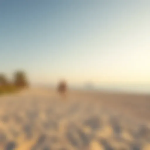A panoramic view of Raha Beach showcasing its serene sands and azure waters