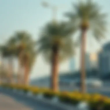 Sheikh Mohammed Bin Rashid Boulevard A panoramic view of Sheikh Mohammed Bin Rashid Boulevard lined with palm trees