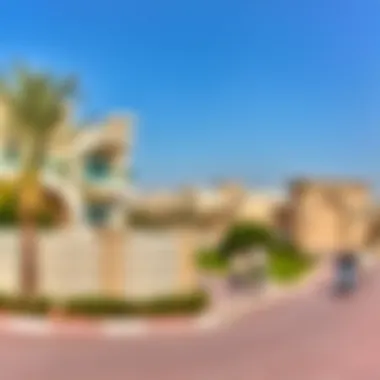 Demographics of Alzorah A visual representation of the demographics of Alzorah, showcasing its diverse community and lifestyle appeal.