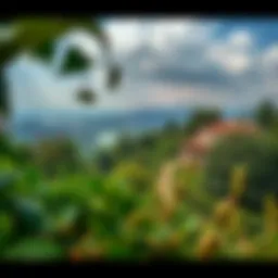 A serene view of حديقة الهيلي showcasing its lush greenery and vibrant flora.