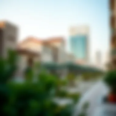 A visual representation of residency options for expatriates in the UAE.