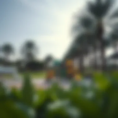 Playground Facilities for Family Fun Children enjoying playground facilities