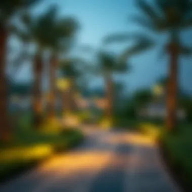 Scenic Pathways and Relaxation Areas Scenic views of park pathways