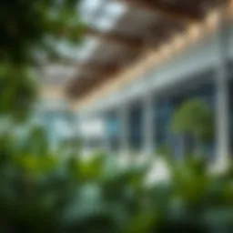 Overview of KHDA approved school facilities in Dubai